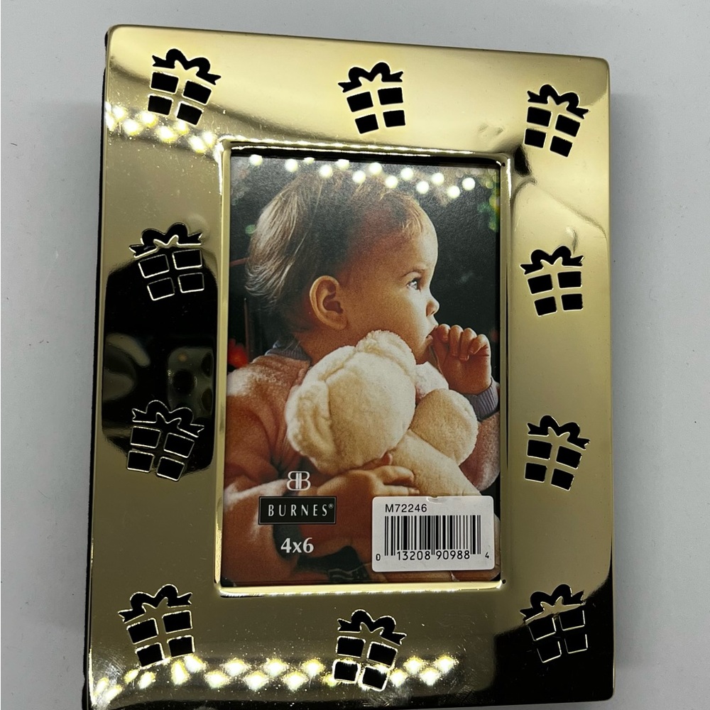 Burnes Mini Max 4x6 Photo Album